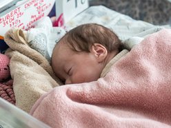 Dwoje z czworaczków nabiera jeszcze sił w Matce Polce