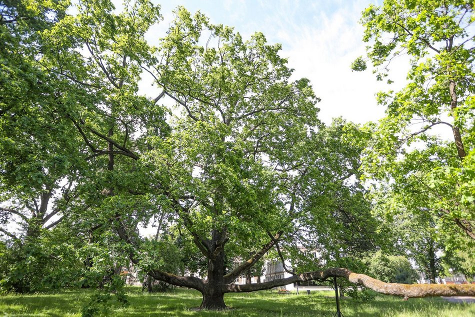 fot. Konrad Ciężki