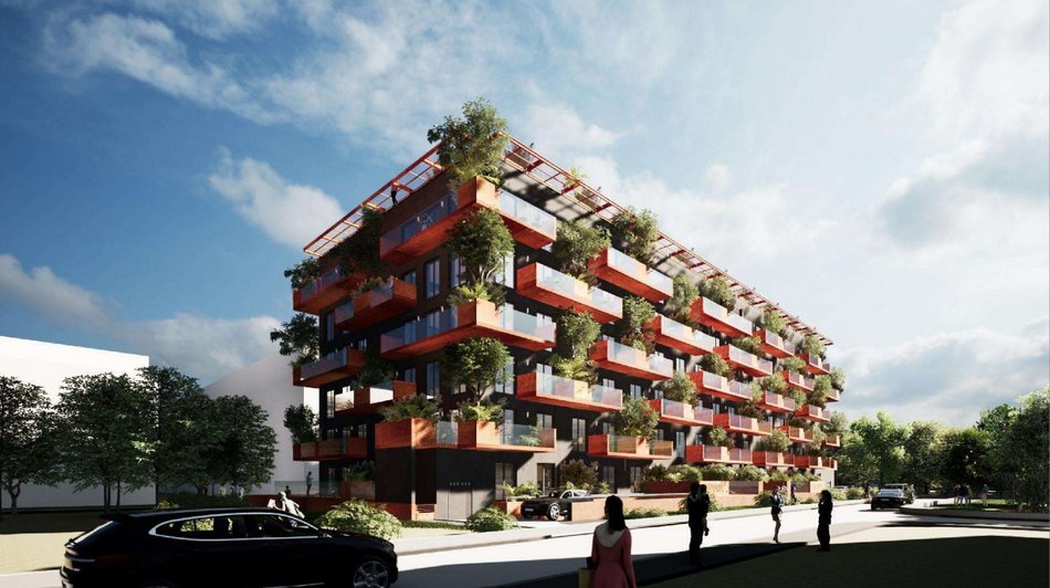 Lex developer w Łodzi