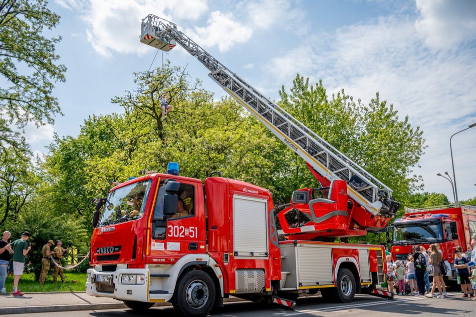 Łódź. Miejski Dzień Dziecka 2025 w Łodzi. Majka Jeżowska, dmuchańce i pokazy [ZDJĘCIA]