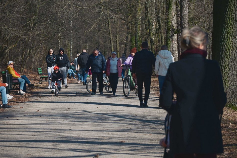 Tłumy w Parku Julianowskim w Łodzi