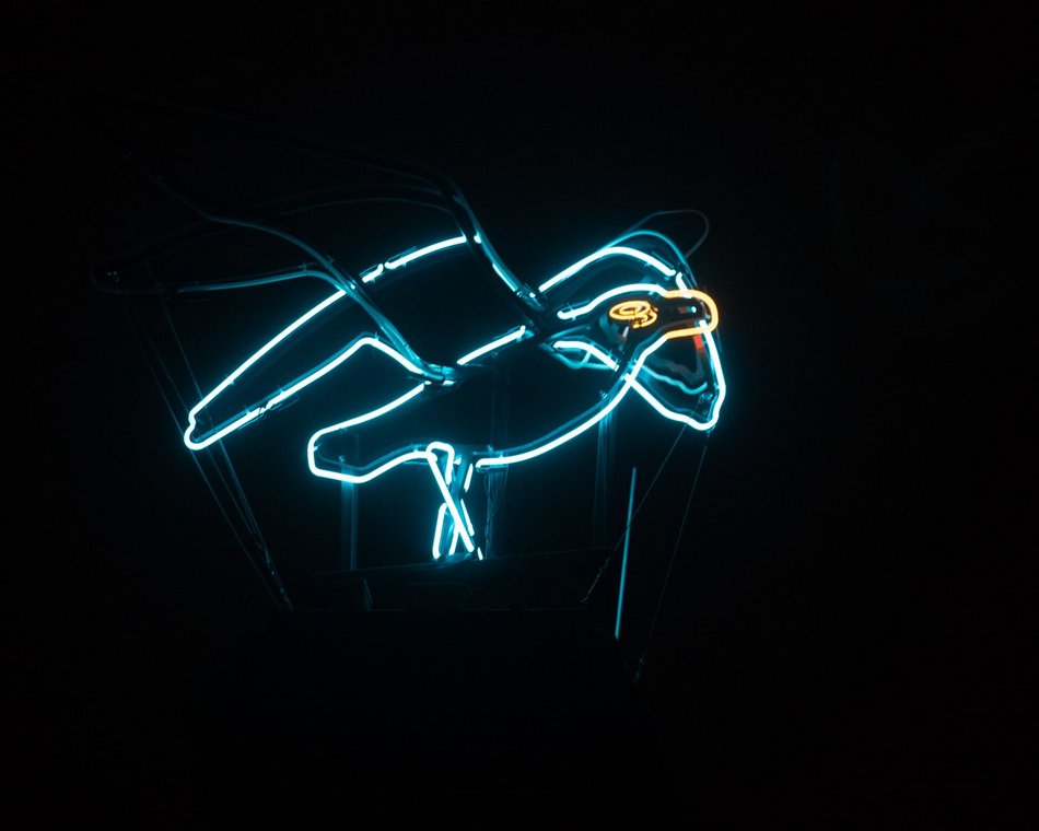 fot. Paweł Łacheta