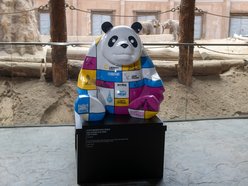 Łódź. Wyjątkowa panda zawitała do Łodzi. Niezwykły prezent z okazji 10. rocznicy partnerstwa z Chengdu