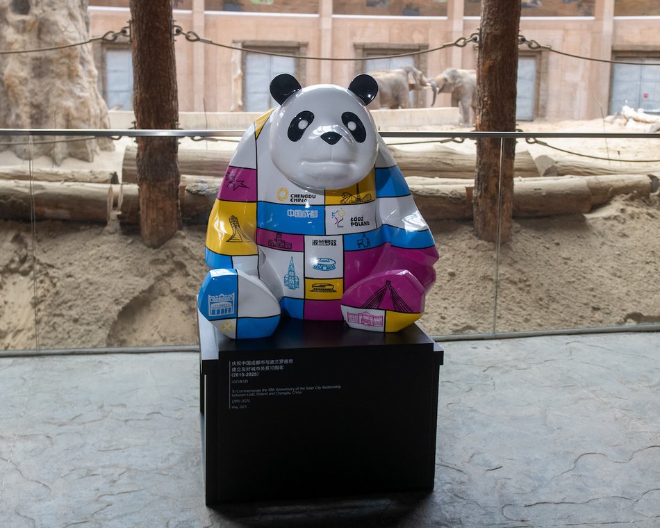 Łódź. Wyjątkowa panda zawitała do Łodzi. Niezwykły prezent z okazji 10. rocznicy partnerstwa z Chengdu