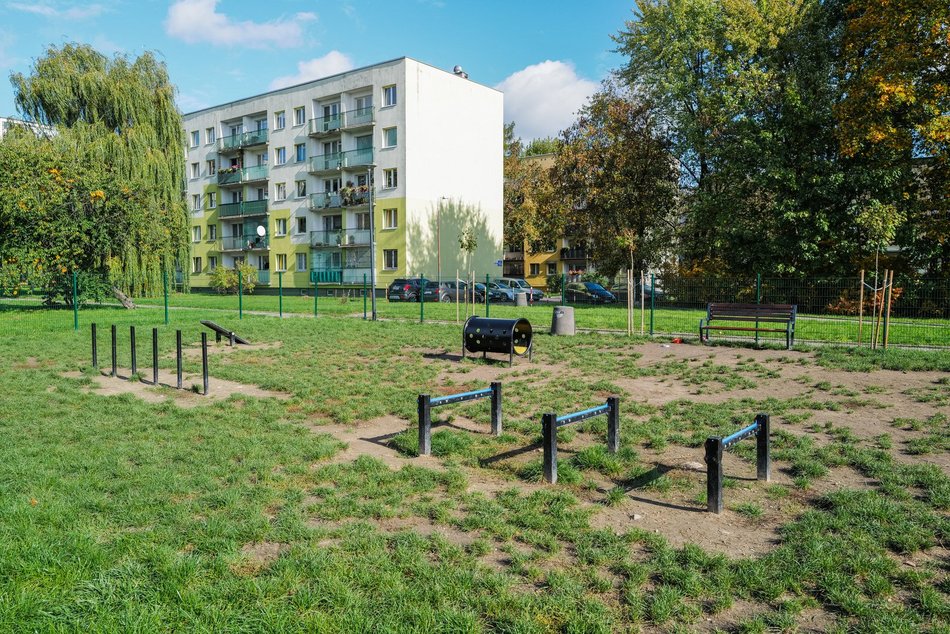 Łódź. Z czworonogiem na plac zabaw? W Łodzi powstaną kolejne psie parki