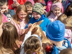 Muminek odsłonięty! Nowa rzeźba na Szlaku Łódź Bajkowa