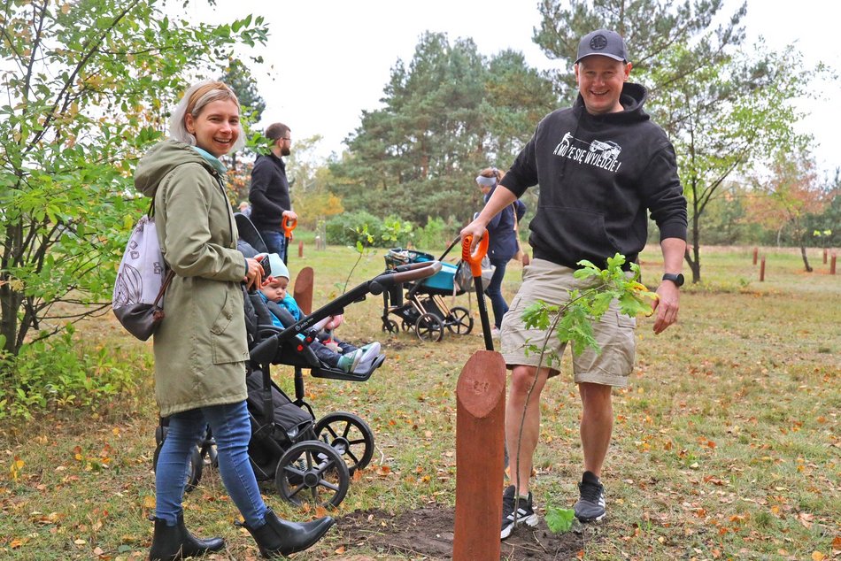 Przybędzie drzew w Lesie Młodej Łodzi. Zgłoś się i posadź drzewo na pamiątkę narodzin swojego dziecka