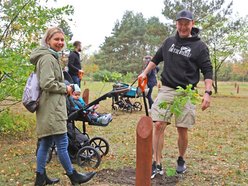 Przybędzie drzew w Lesie Młodej Łodzi. Zgłoś się i posadź drzewo na pamiątkę narodzin swojego dziecka