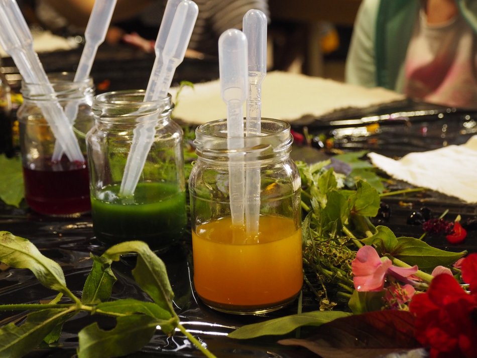 Łódź. Rośliny pełne tajemnic! Rodzinne warsztaty w Ogrodzie Botanicznym