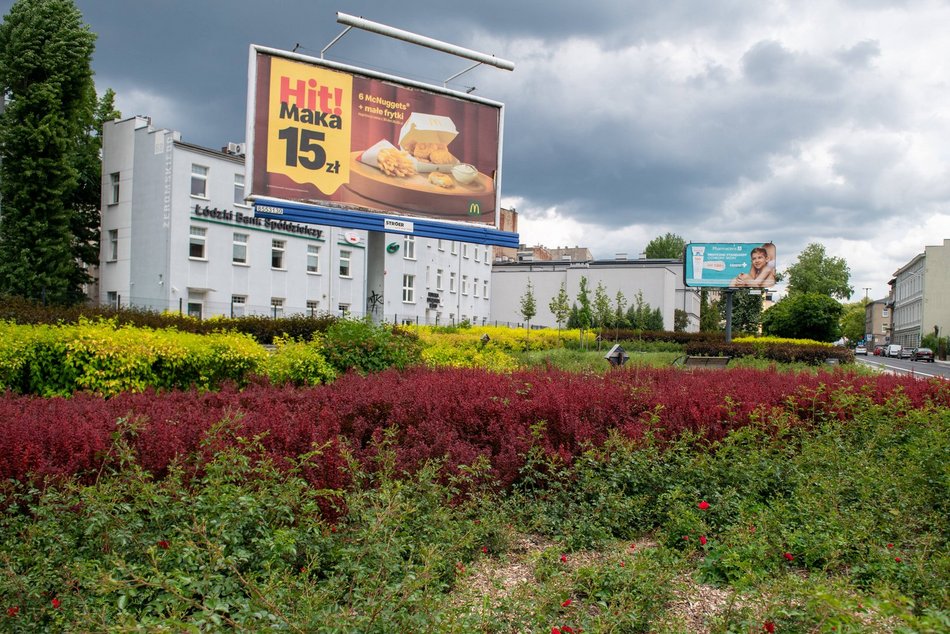 Łódź. Kwiaty na skwerze przy ul. Skłodowskiej-Curie w Łodzi