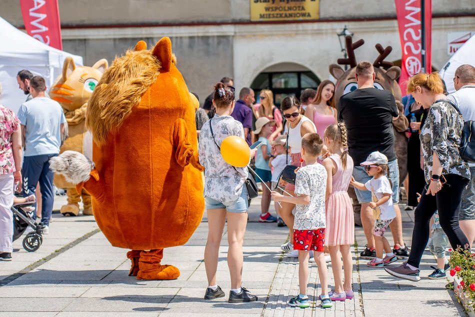 Łódź. Miejski Dzień Dziecka 2025 w Łodzi. Majka Jeżowska, dmuchańce i pokazy [ZDJĘCIA]