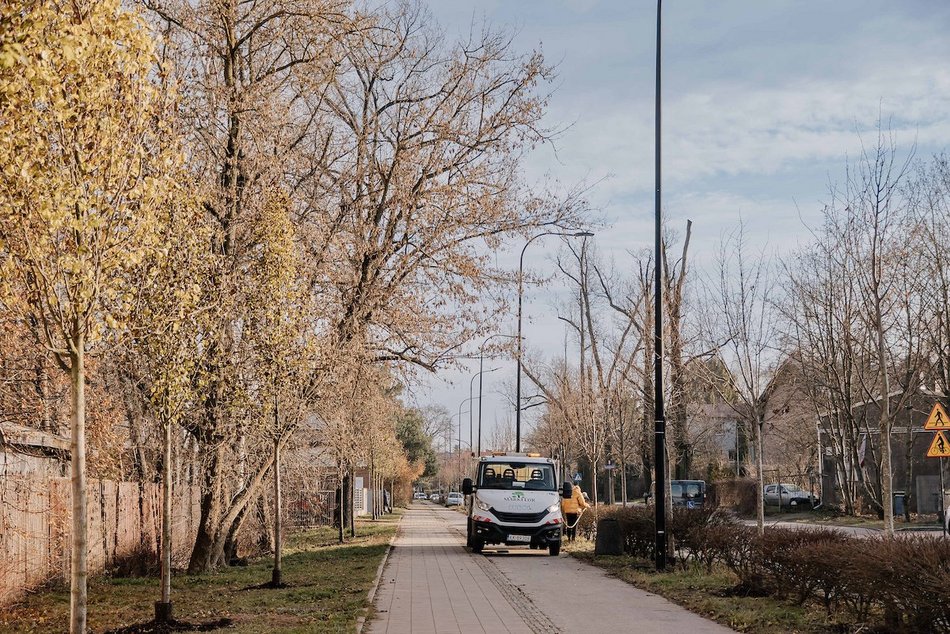 Łódź. Śliwy i lipy ozdobiły Rojną w Łodzi. To część wielkiej akcji sadzenia drzew w mieście