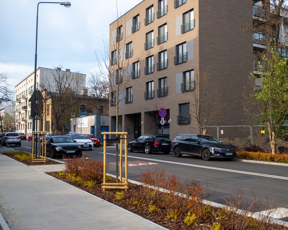 Łódź. Więcej zieleni przy Gdańskiej i Zamenhofa. Nowe rośliny już zdobią ulice