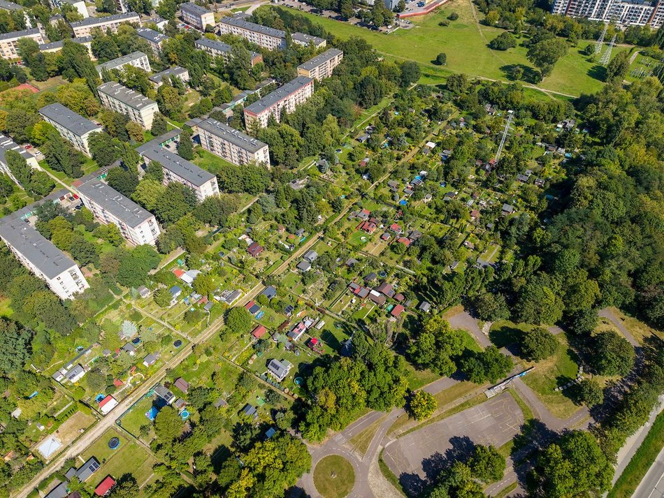 Łódź. Rodzinne Ogrody Działkowe w Łodzi. Miejsca relaksu z prawdziwą ekomisją