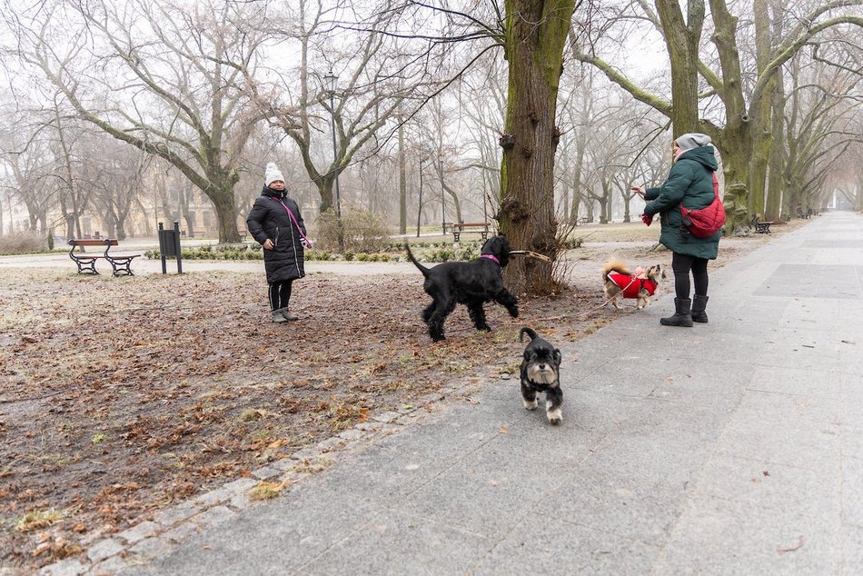 Łódź. Spacerowicze w parku Poniatowskiego