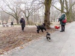 Łódź. Spacerowicze w parku Poniatowskiego