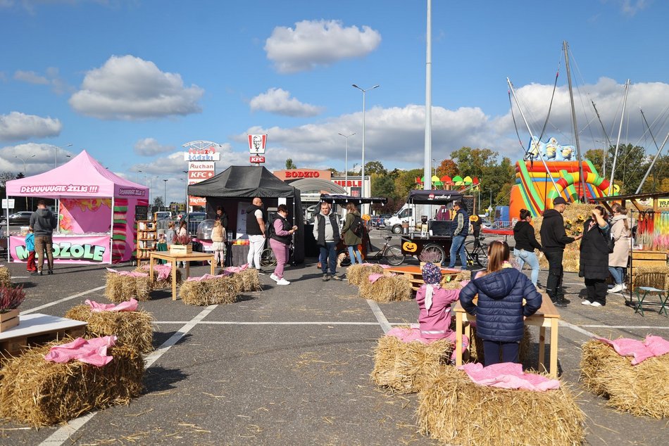 Farma Dyniowa w Pasażu Łódzkim