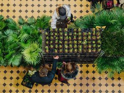 Festiwal Roślin w Łodzi odbędzie się w najbliższy weekend w dniach 15-16 kwietnia