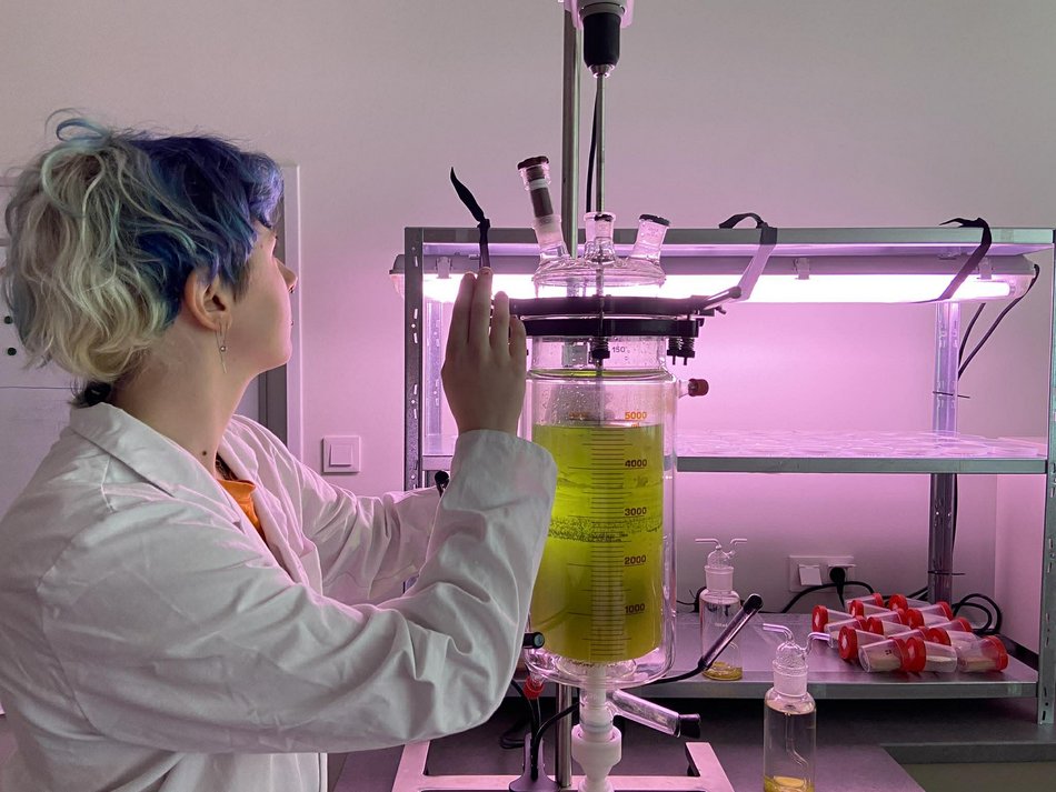 Łódź. Bioreaktor na Politechnice Łódzkiej. Czy mikroglony z rzek i stawów w Łodzi uratują nasze powietrze?