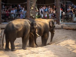 Łódź. Orientarium Zoo Łódź