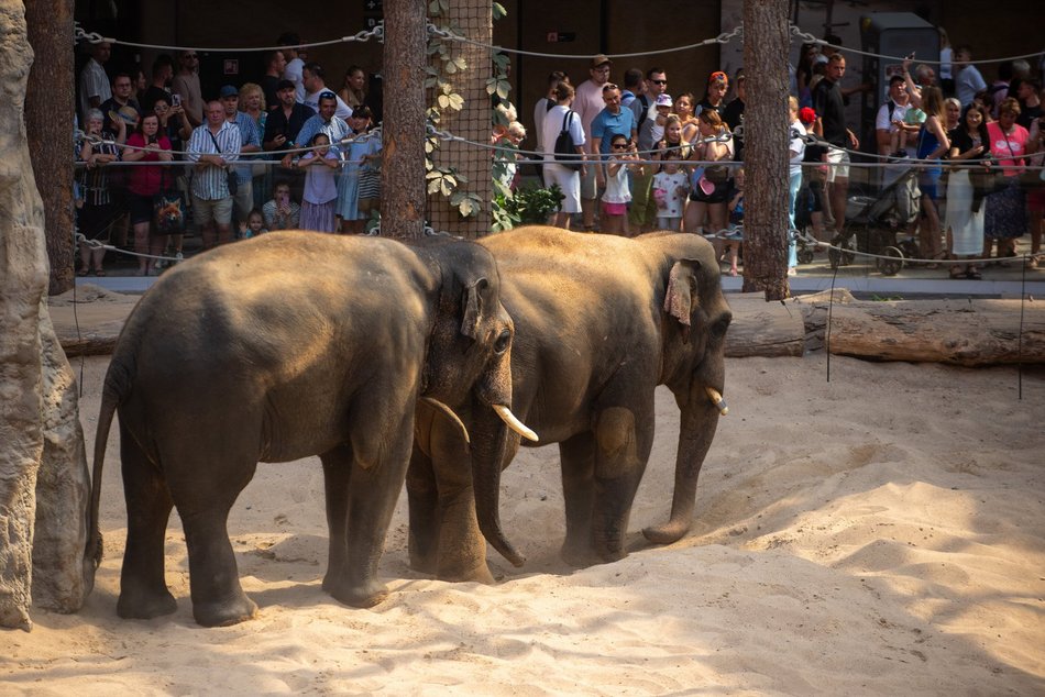 Łódź. Orientarium Zoo Łódź