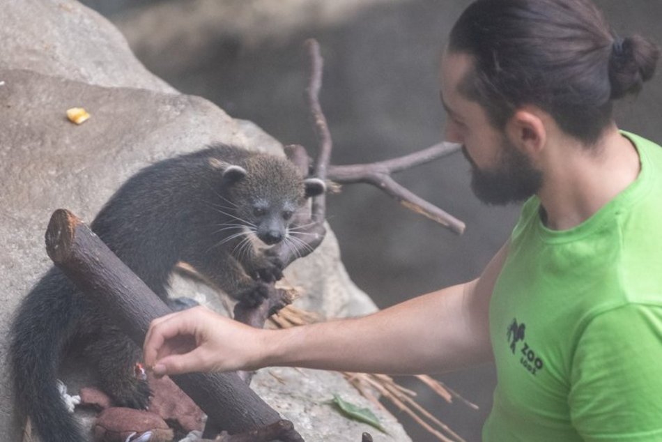 фото Paweł Łacheta