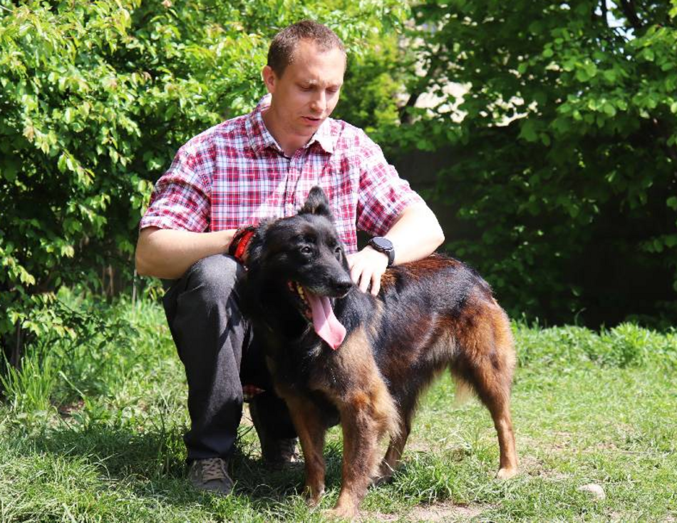 Z kanapy za kraty. Oddana Remi czeka na nową rodzinę po śmierci właściciela