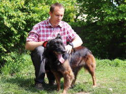 Z kanapy za kraty. Oddana Remi czeka na nową rodzinę po śmierci właściciela