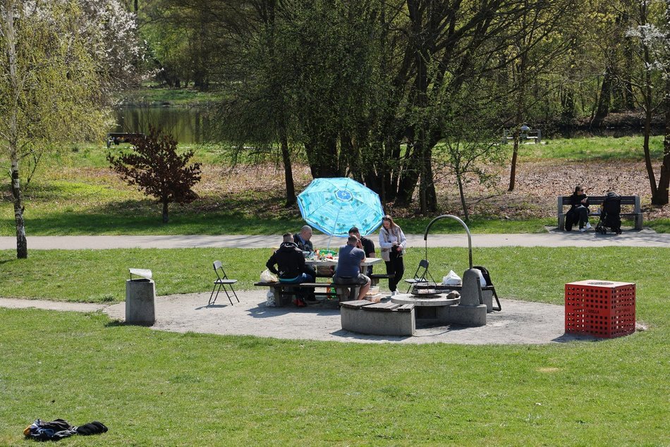 Gdzie grillować w Łodzi? Majówka z bliskim na łonie natury