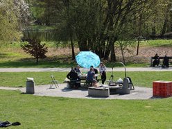 Gdzie grillować w Łodzi? Majówka z bliskim na łonie natury