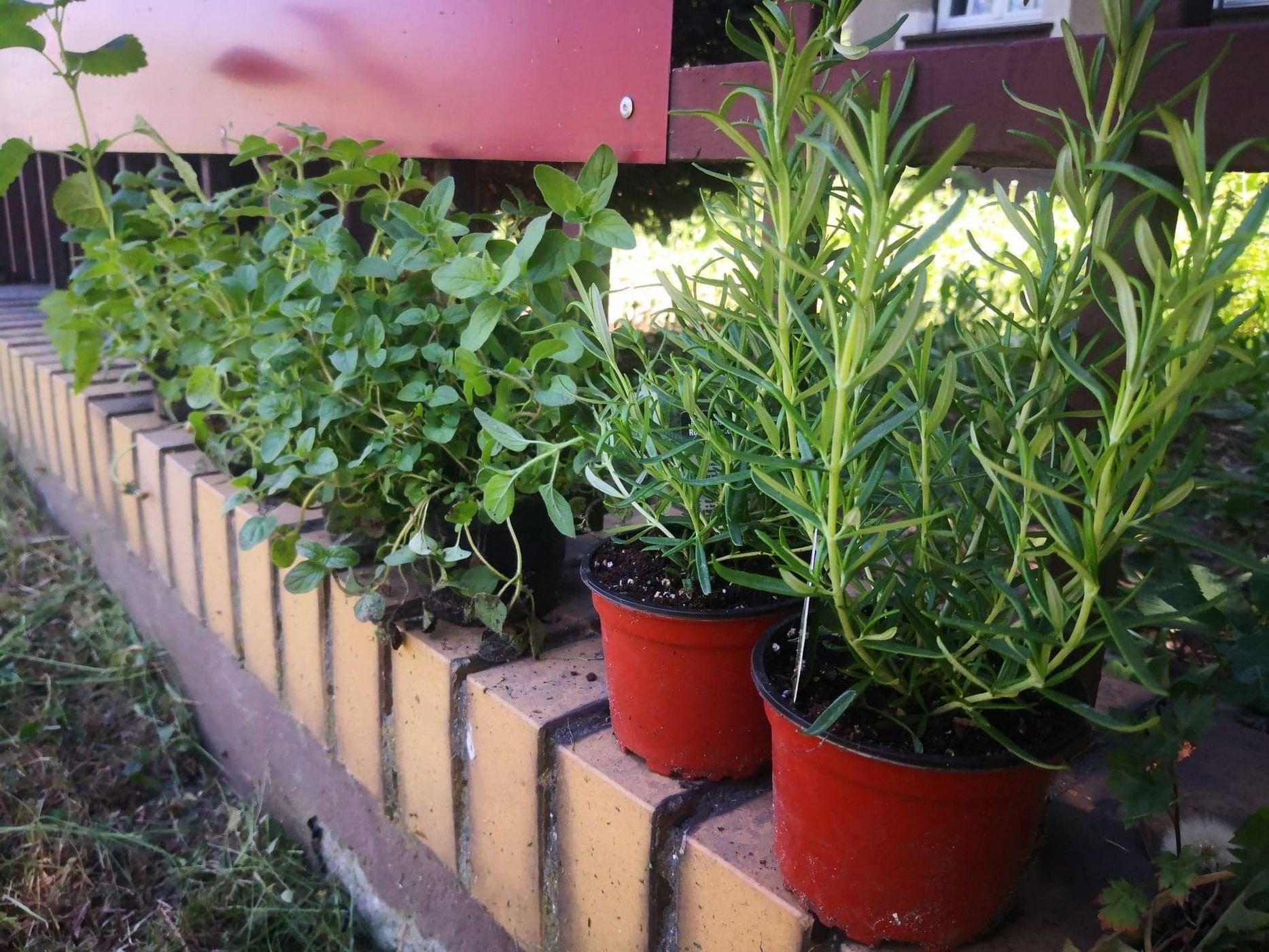 Громадські сади , мат. преси