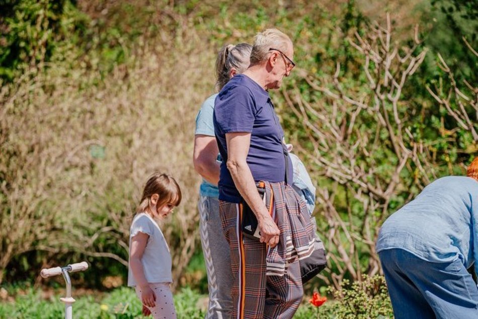 Łódź. Ogród Botaniczny w Łodzi w wiosennej odsłonie