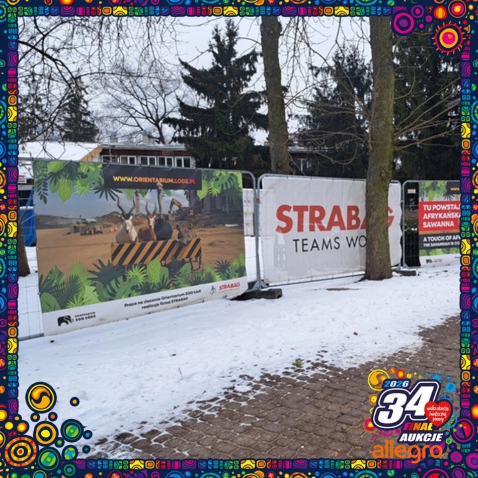 Łódź. Orientarium Zoo Łódź gra z WOŚP 2026 w Łodzi. Weź udział w wyjątkowych aukcjach