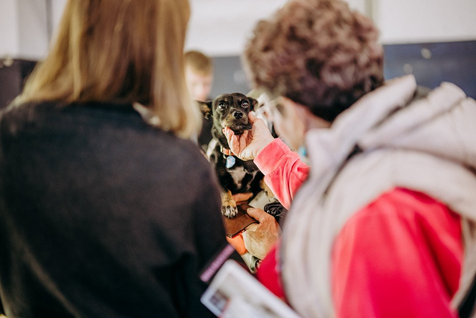 Targi dla zwierzaków przy Piotrkowskiej 217. Zobacz galerię, jeszcze zdążysz tam wpaść!