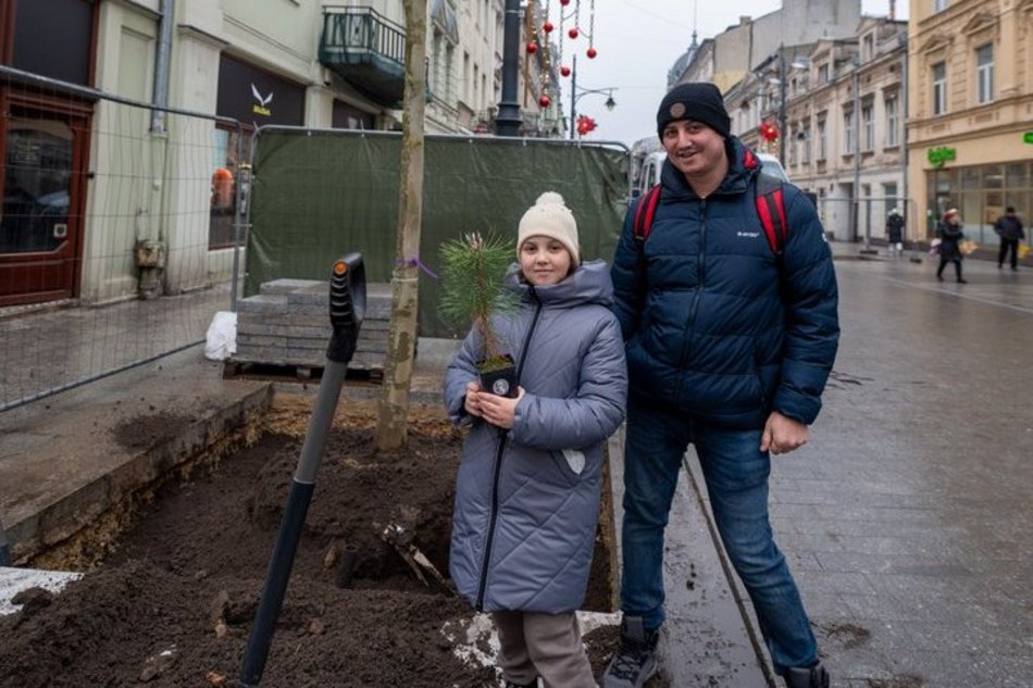 Łódź. Drzewa na Piotrkowskiej w Łodzi posadzone! Łodzianie uczestniczyli w imprezie