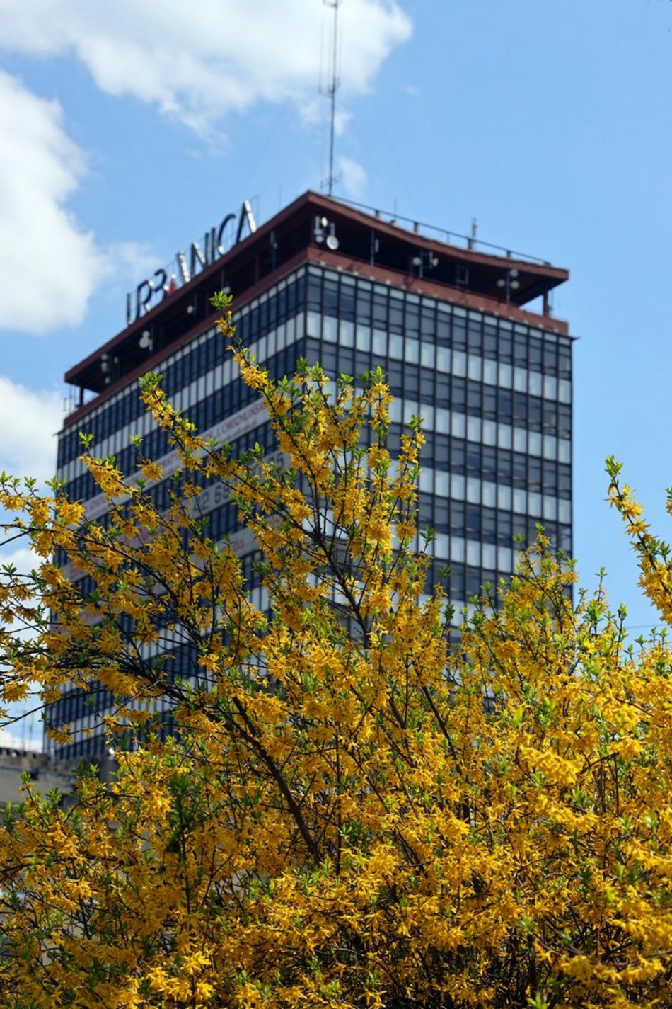 Wiosna rozgościła się w Łodzi!