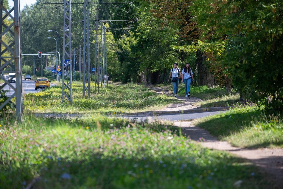 Tramwaje MPK Łódź wrócą na Koziny. Poszukiwany wykonawca remontu torowiska na Srebrzyńskiej