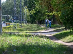Tramwaje MPK Łódź wrócą na Koziny. Poszukiwany wykonawca remontu torowiska na Srebrzyńskiej