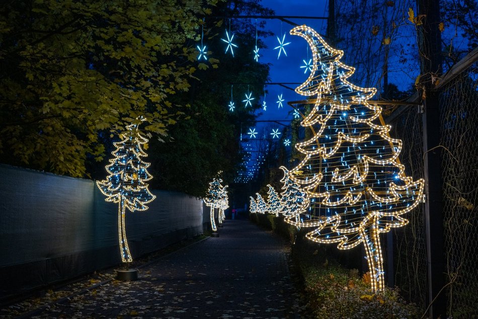 Park Miliona Świateł w Łodzi otwarty! Magiczne zwierzęta opanowały Orientarium Zoo Łódź