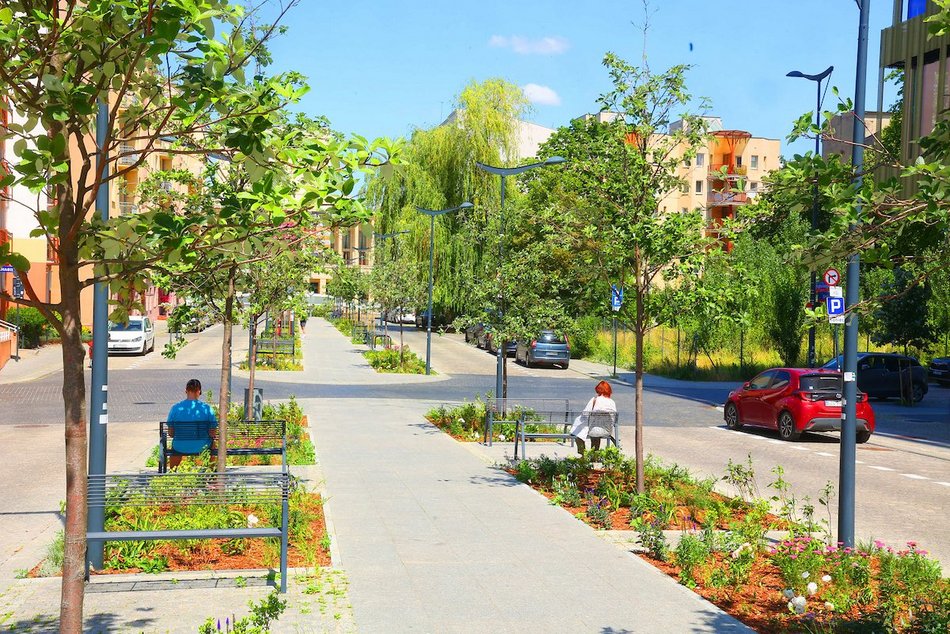 Łódź. Knychalskiego w Łodzi cała w zieleni! Nowe drzewa, kwiaty i rabaty