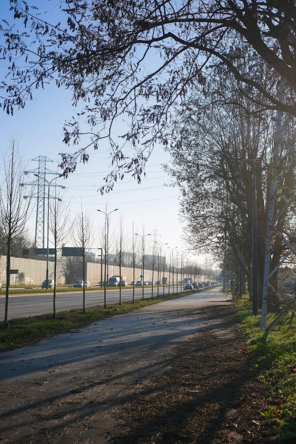 Łódź. Zielona metamorfoza Włókniarzy