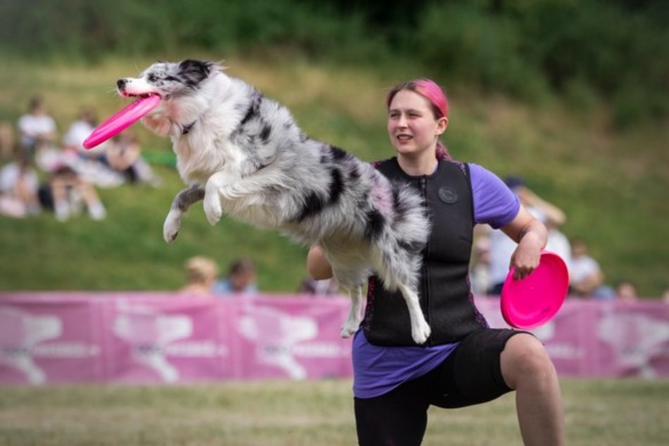 Łódź. Co robić w weekend w Łodzi? Fotofestiwal, Ravekjavík i Targi Roślin Egzotycznych