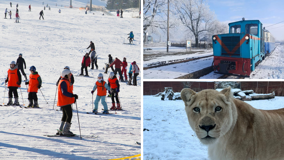 Łódź. Ferie 2026 w Łódzkiem