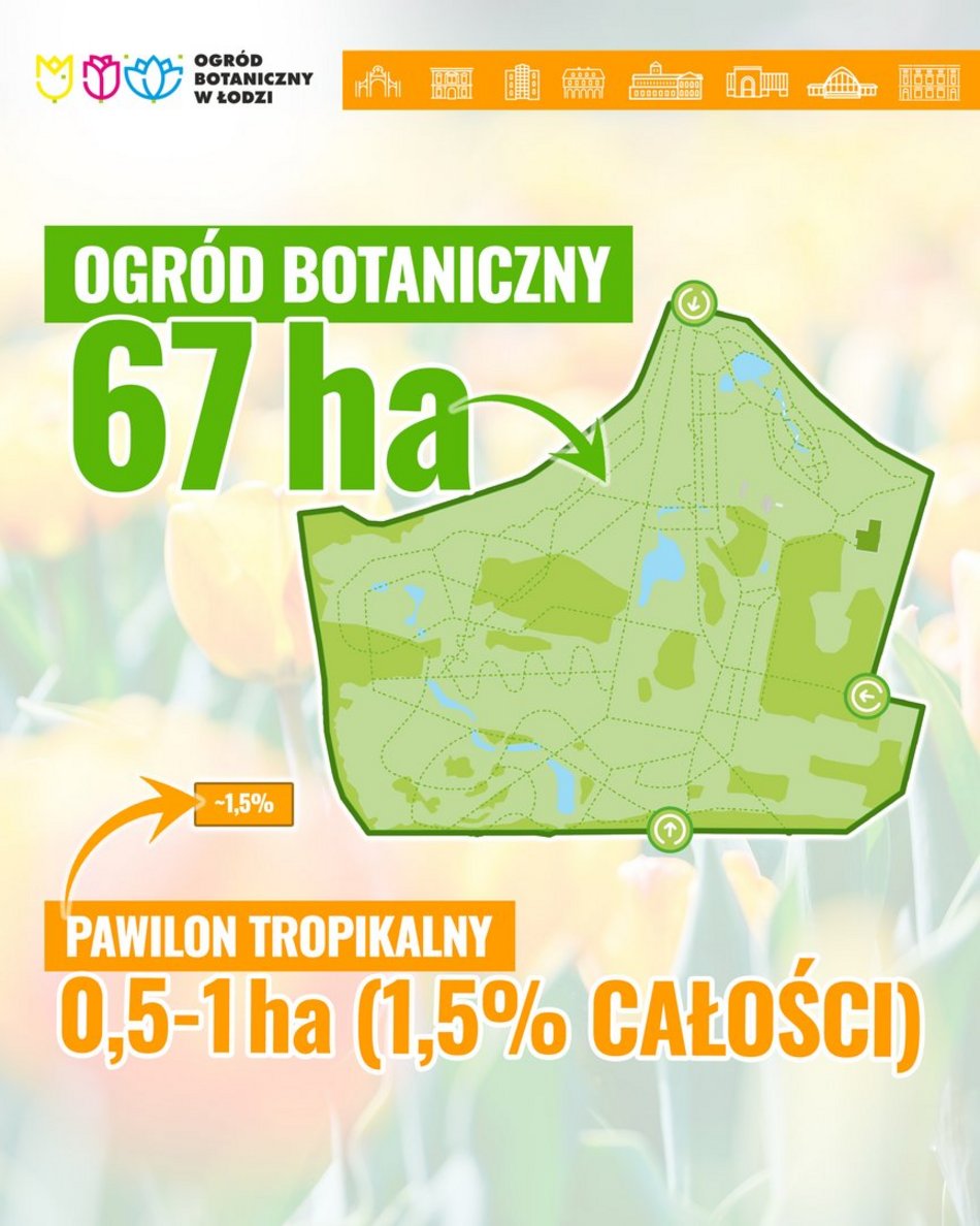 Łódź. Jak może się zmienić Ogród Botaniczny w Łodzi? Wszystko, co powinieneś wiedzieć o nowym pawilonie