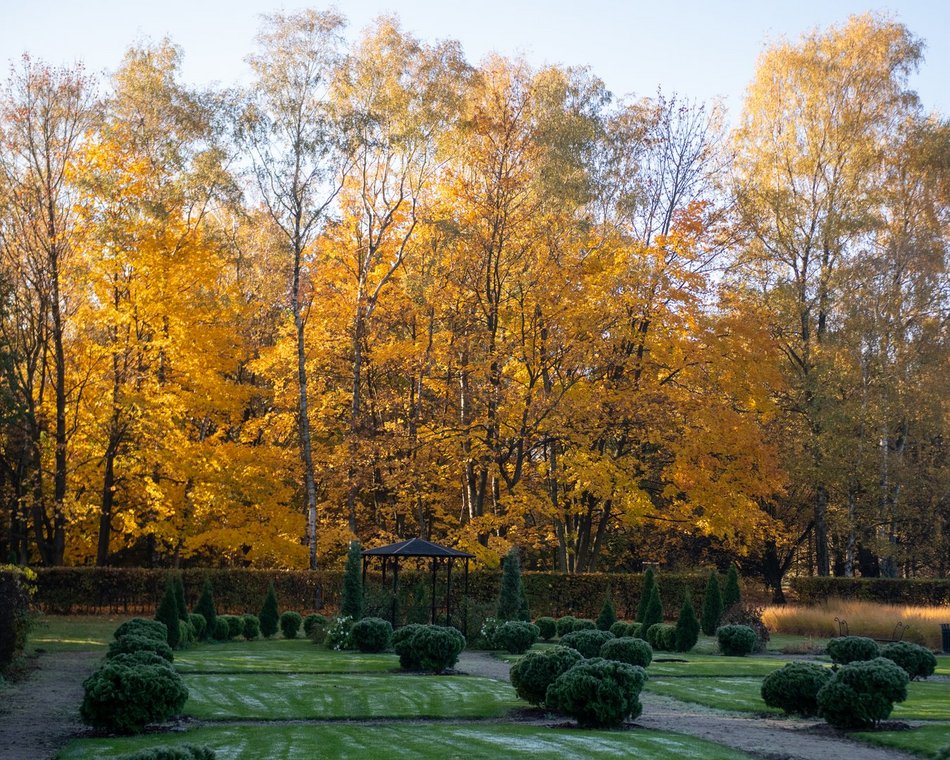 Ogród Botaniczny w Łodzi