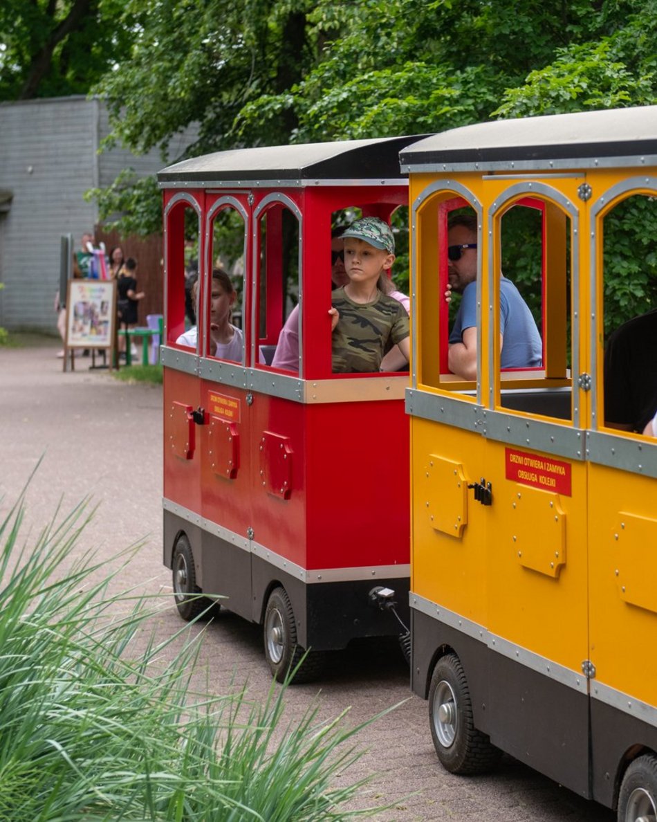 Łódź. Dzień Dziecka w Orientarium Zoo Łódź. Tylu atrakcji tam jeszcze nie było!