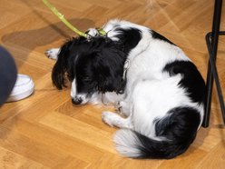 Łódź. Łodzianie na spotkaniu o inwestycjach nad Jasieniem