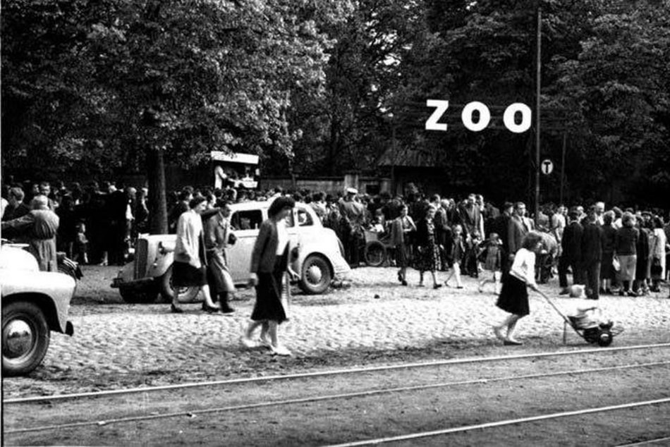 Łódź. Zoo w Łodzi w latach 1957-1963