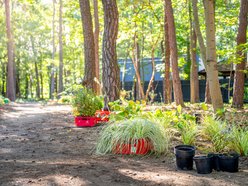 Będzie nowy skwer przy ulicy Zuchów w Łodzi. Zapomniany teren odżyje!