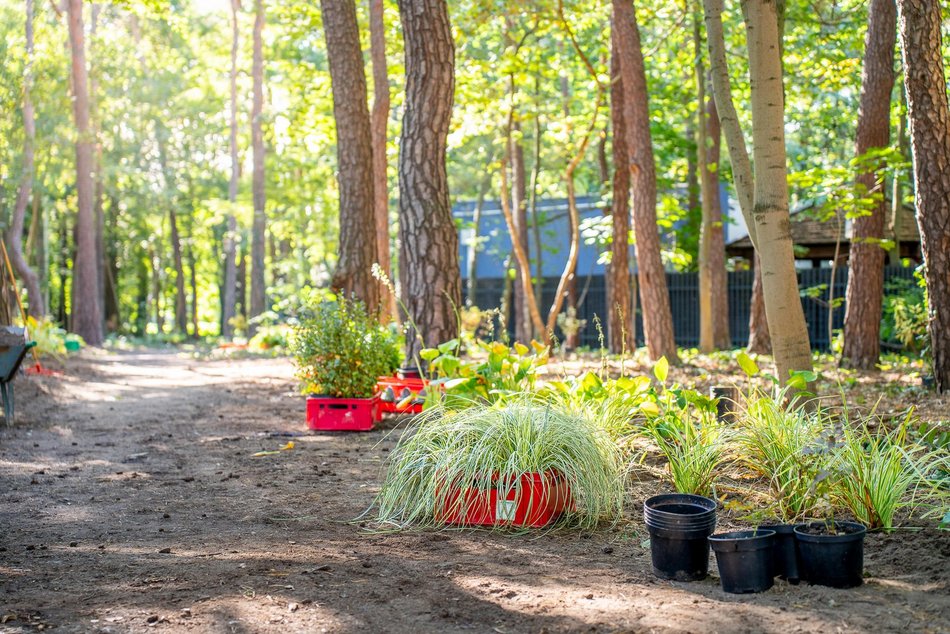 Będzie nowy skwer przy ulicy Zuchów w Łodzi. Zapomniany teren odżyje!